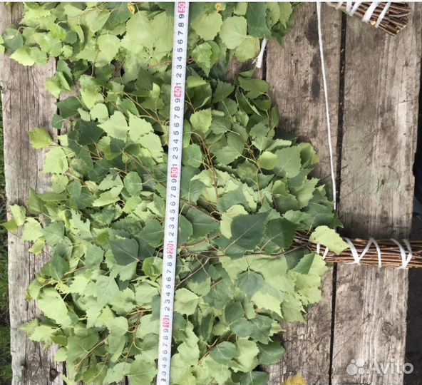 Березовые веники