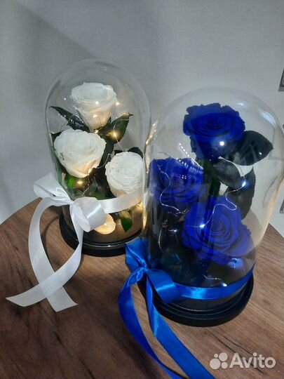 Роза в колбе
