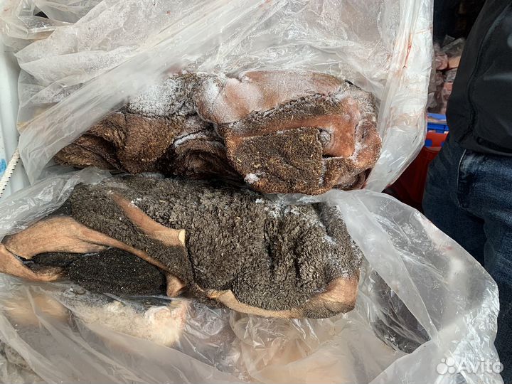 Рубец говяжий