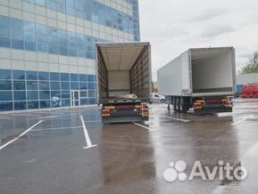 Полуприцеп шторный Mammut 93м3, 2023