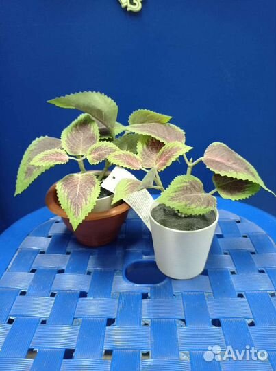 Искусственные цветы. Икеа