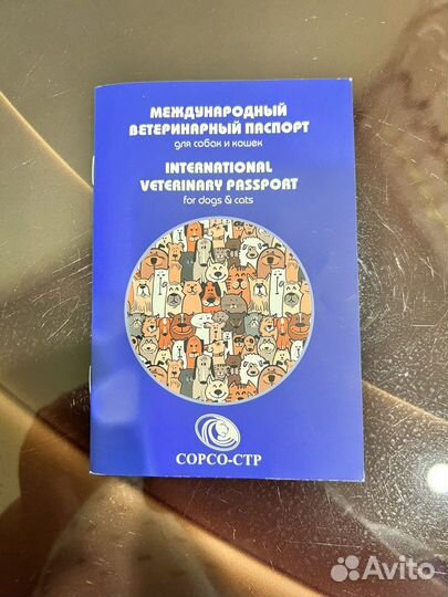 Собака йоркширский терьер мини