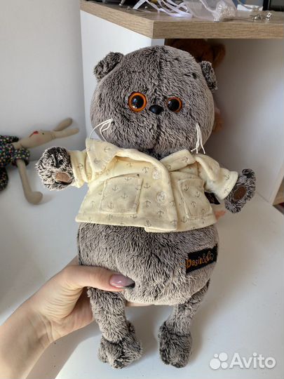 Кот Басик basik