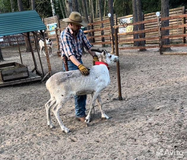 Волонтерство