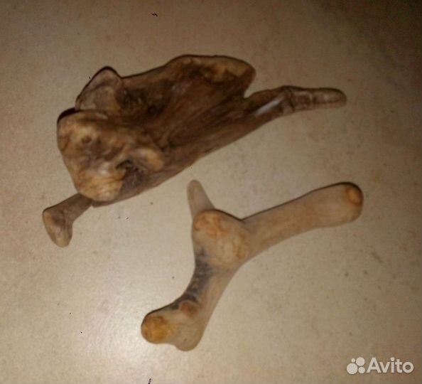 Коряги морские