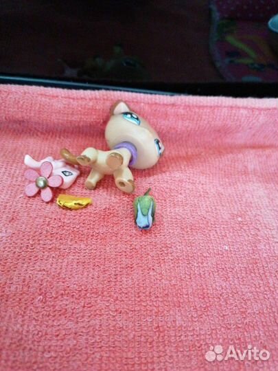 Лпс стоячка