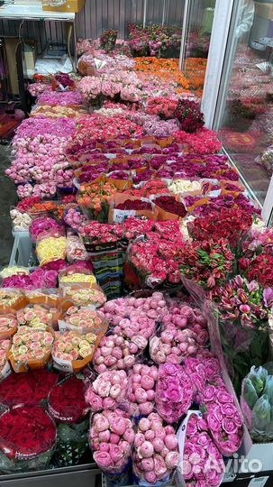 101 Роза Букеты цветы 51 101 Роза