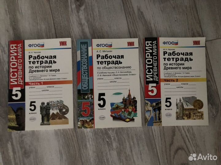 Рабочие тетради 5 класс новые