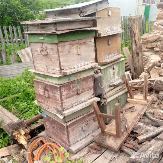 Улей домик для пчел