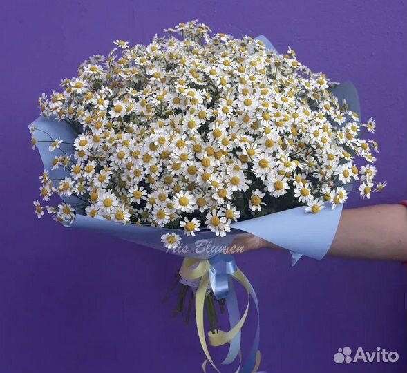 Букеты из ромашек