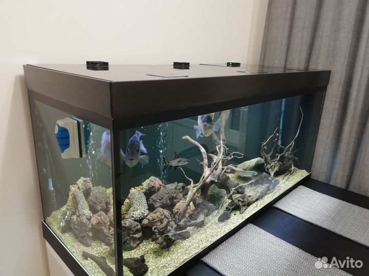 Аквариум