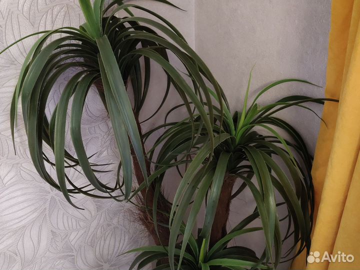 Драцена искусственная и плетёное кашпо