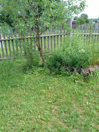 Дом 67,3 м² на участке 10 сот.