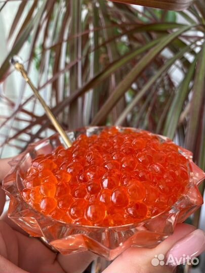 Красная икра Кета