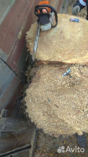 Спил деревьев, арборист