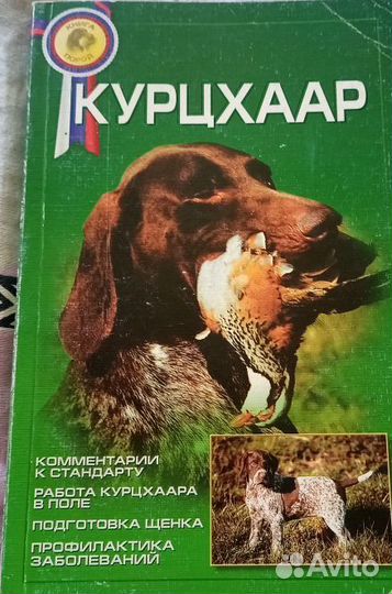 Дратхаар,куцхаар, легавые