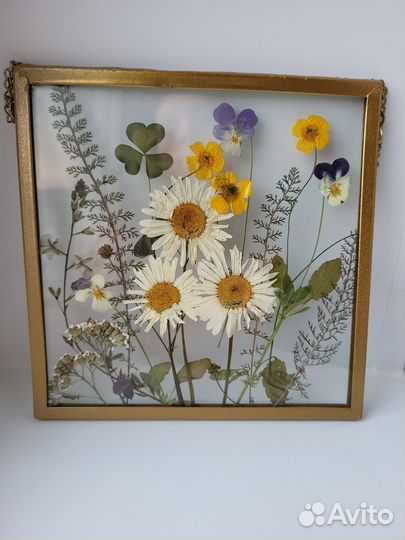 Картины из сухоцветов под стеклом