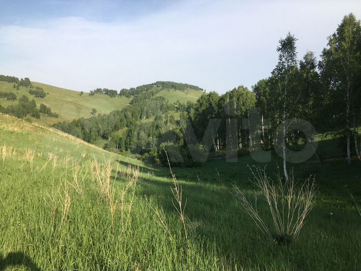 Участок 31 га (СНТ, ДНП)