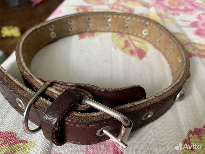 Ошейник для собак из натуральной кожи