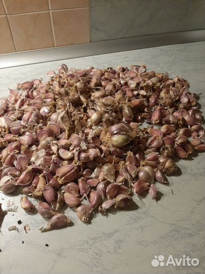 Чеснок домашний россыпью