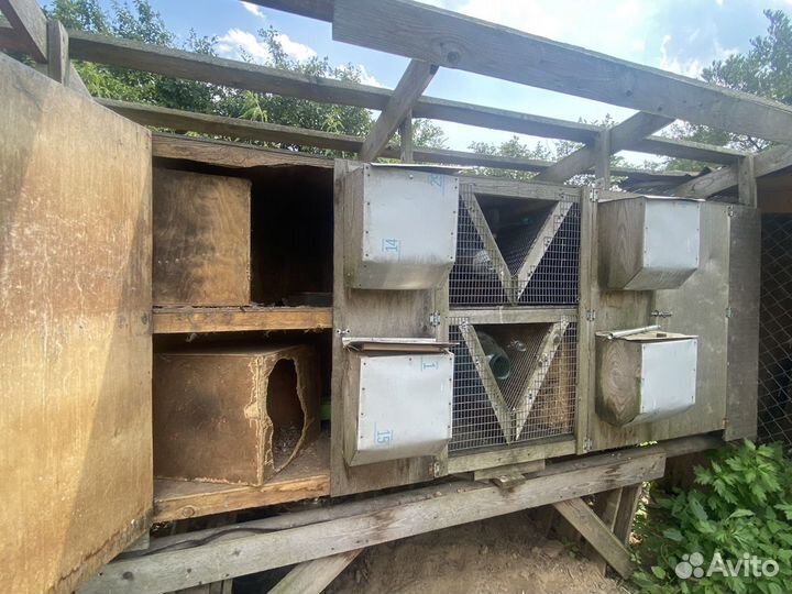 Клетка для кроликов