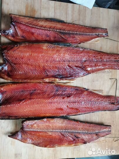 Голец холодного копчения