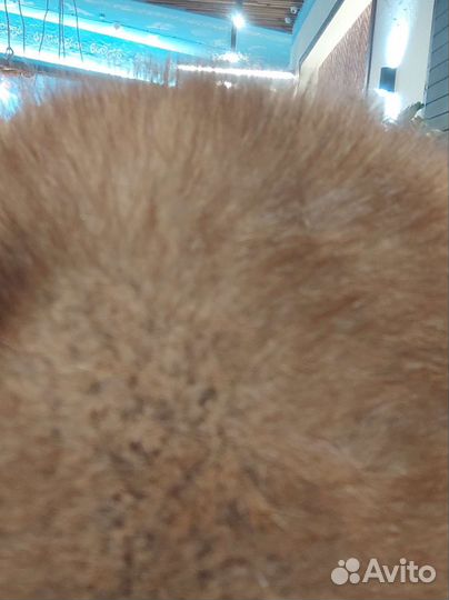 Берет норка