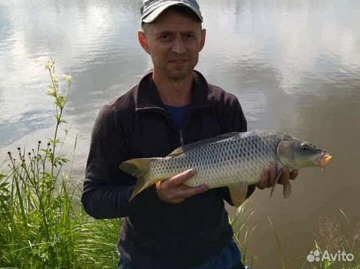 Рыбалка на Карпа + Отдых в доме на Озере
