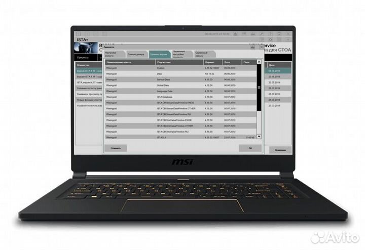 Ista+ (Rheingold) 4.36.40 для BMW