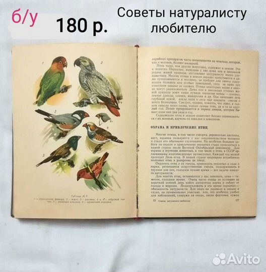 Книги о животных