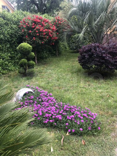 Комната 20 м², 2/3 эт.