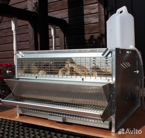 Клетки для броллеров и перепелов