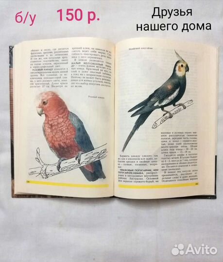 Книги о животных