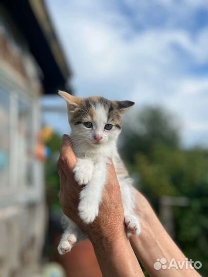 Ми ми малышка