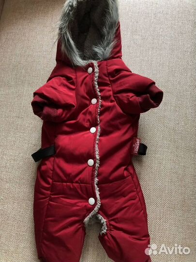 Комбинезон для собаки