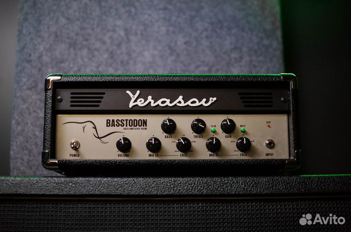 Басовый усилитель Yerasov Basstodon
