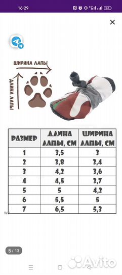 Одежда для маленьких собак