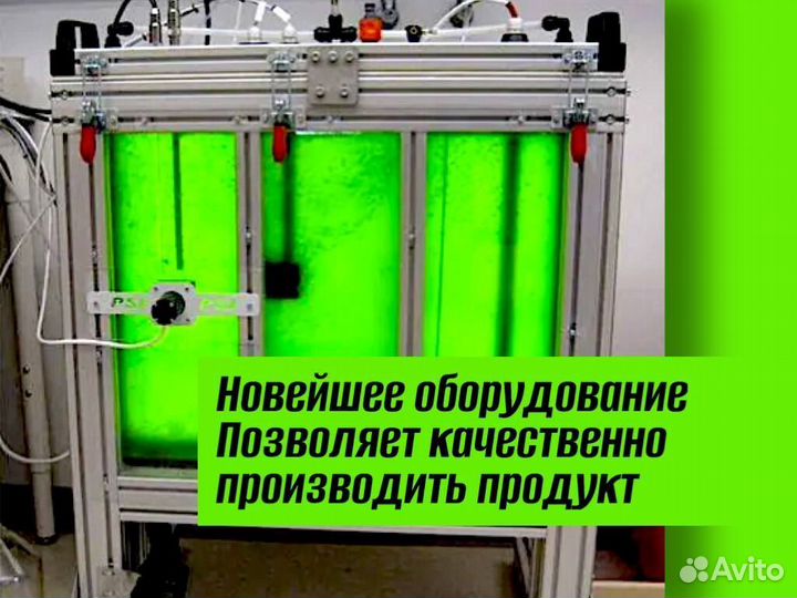 Суспензия хлореллы от производителя