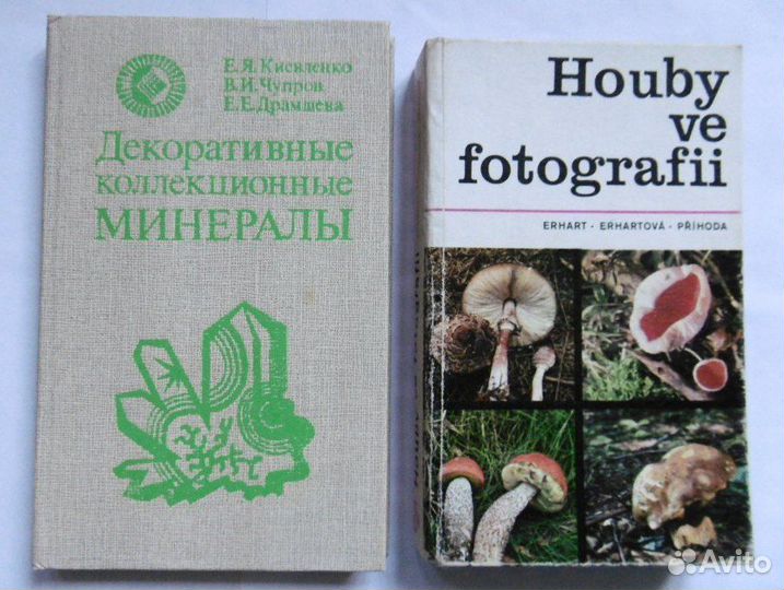 Природа, путешествия