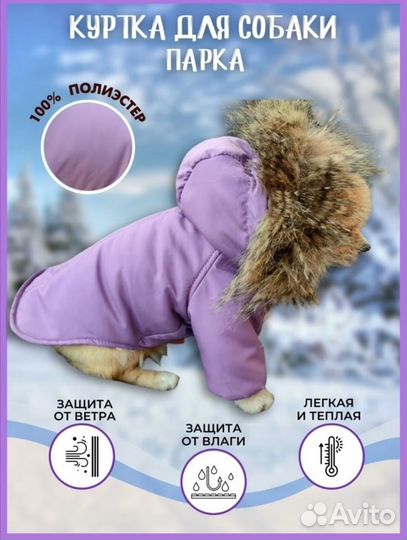 Новая парка для собак