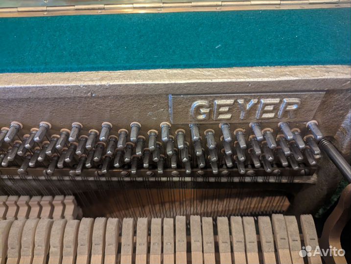 Geyer