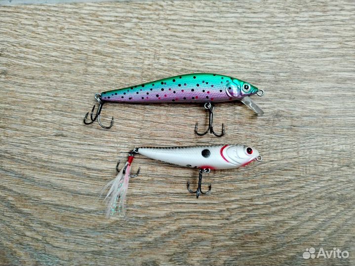 Kosadaka Зеленый китаец Sammy