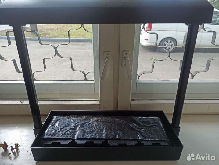 Домашний мини- огород