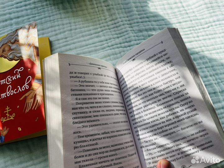 Дивное Дивеево книга
