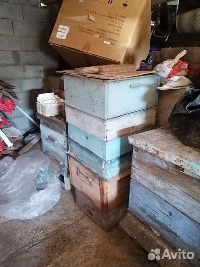 Пчелы и улья