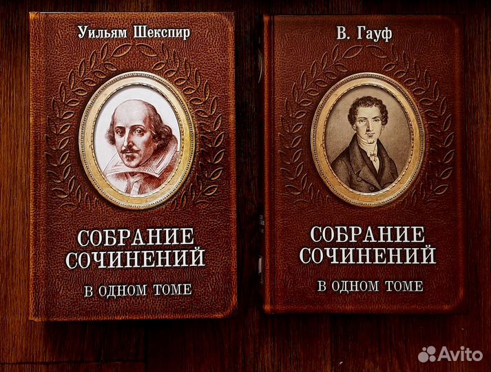 Собрания сочинений в 1 томе