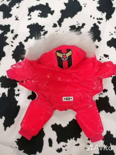 Одежда для маленьких пород собак