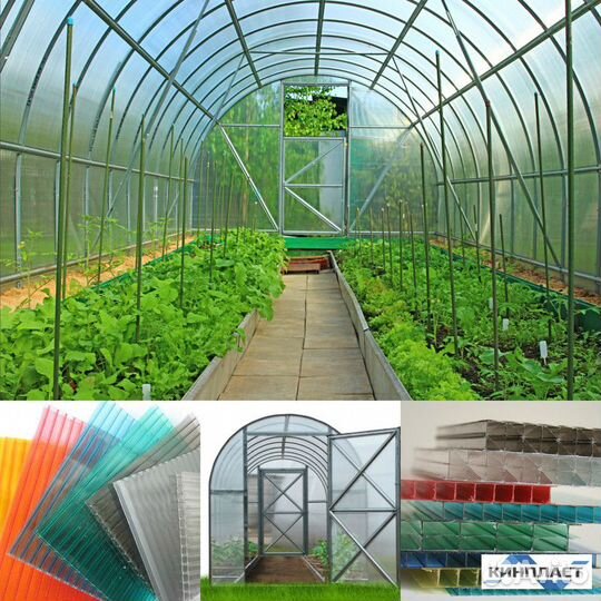 Теплица из поликарбоната от производителя