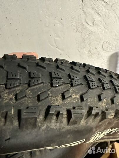 Покрышки Maxxis Ardent Race 3C TR maxx 29x2.35