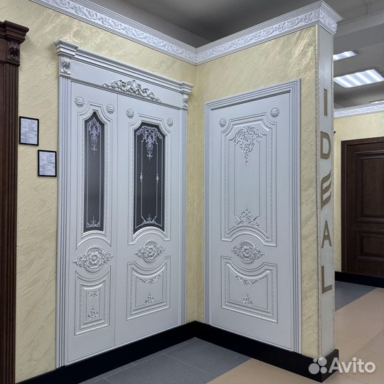 Двери дизайнерские v-3153